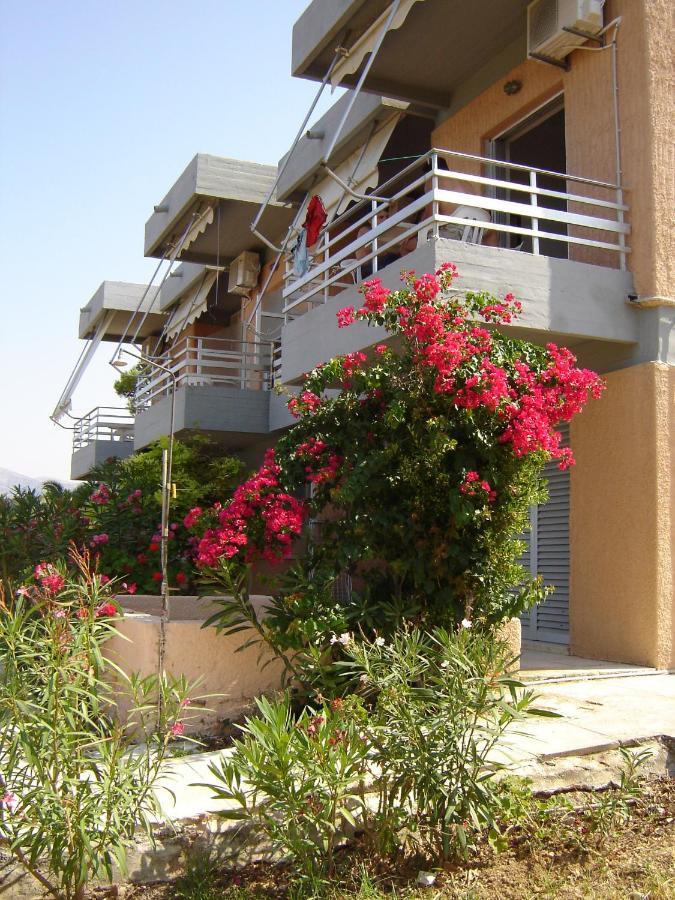 Galini Studios And Apartments Lassi  Exterior foto